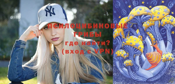 ешки Алексин
